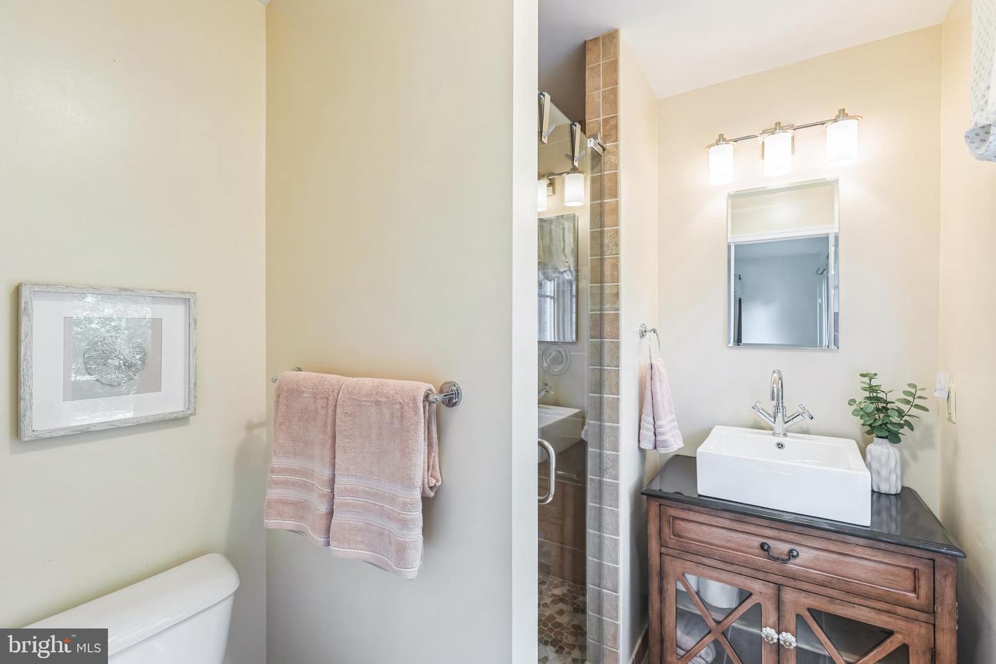 11808 GREY BIRCH PL, RESTON, Virginia 20191, 4 Bedrooms Bedrooms, ,4 BathroomsBathrooms,Residential,For sale,11808 GREY BIRCH PL,VAFX2254070 MLS # VAFX2254070