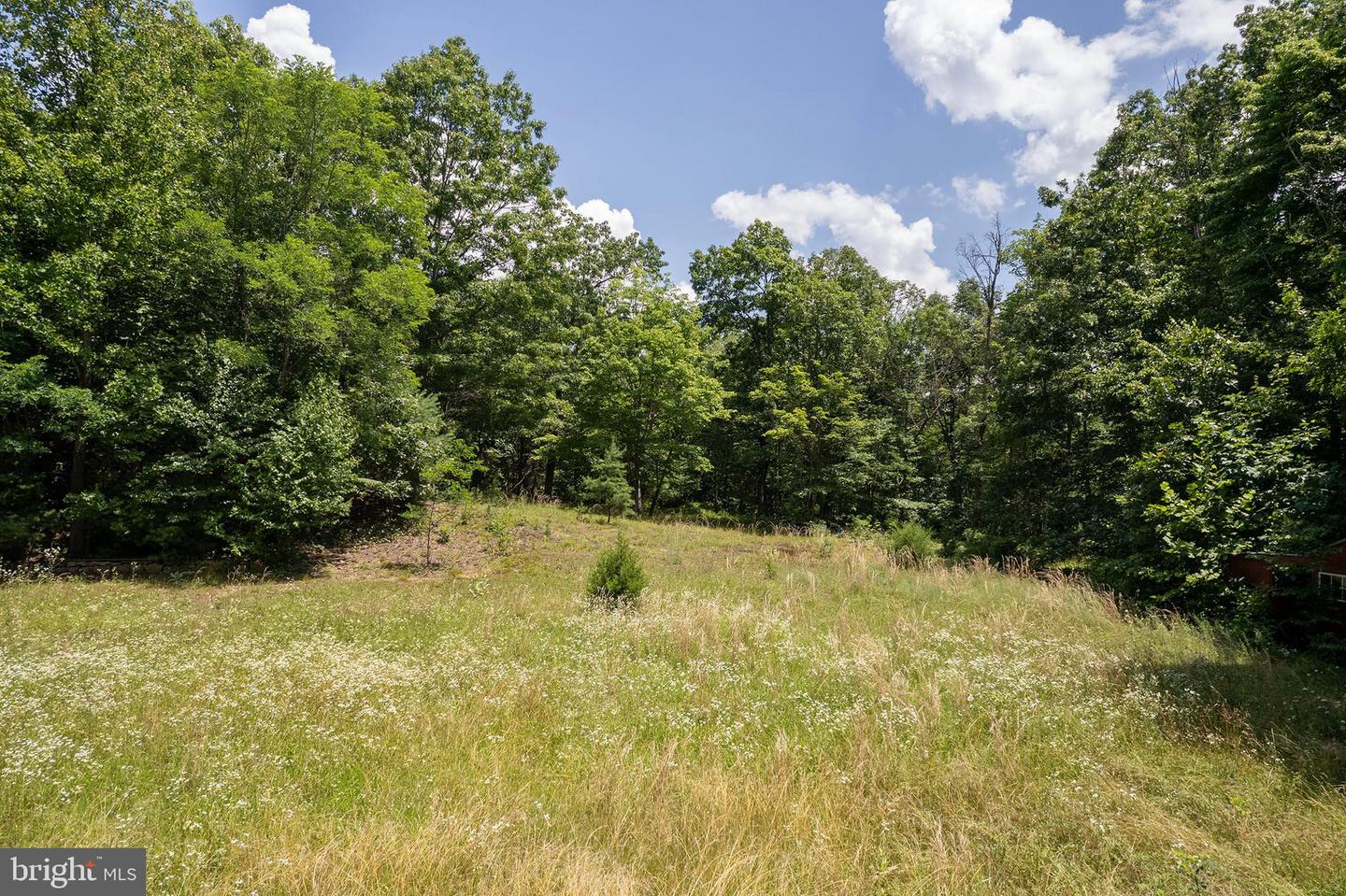 315 BRILL RD, STAR TANNERY, Virginia 22654, ,Land,For sale,315 BRILL RD,VAFV2035530 MLS # VAFV2035530