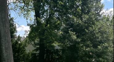 0 EIGHTH, KING GEORGE, Virginia 22485, ,Land,For sale,0 EIGHTH,VAKG2006730 MLS # VAKG2006730