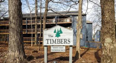 234 TIMBERS CONDOS, WINTERGREEN RESORT, Virginia 22967, 1 Bedroom Bedrooms, ,1 BathroomBathrooms,Residential,For sale,234 TIMBERS CONDOS,666945 MLS # 666945