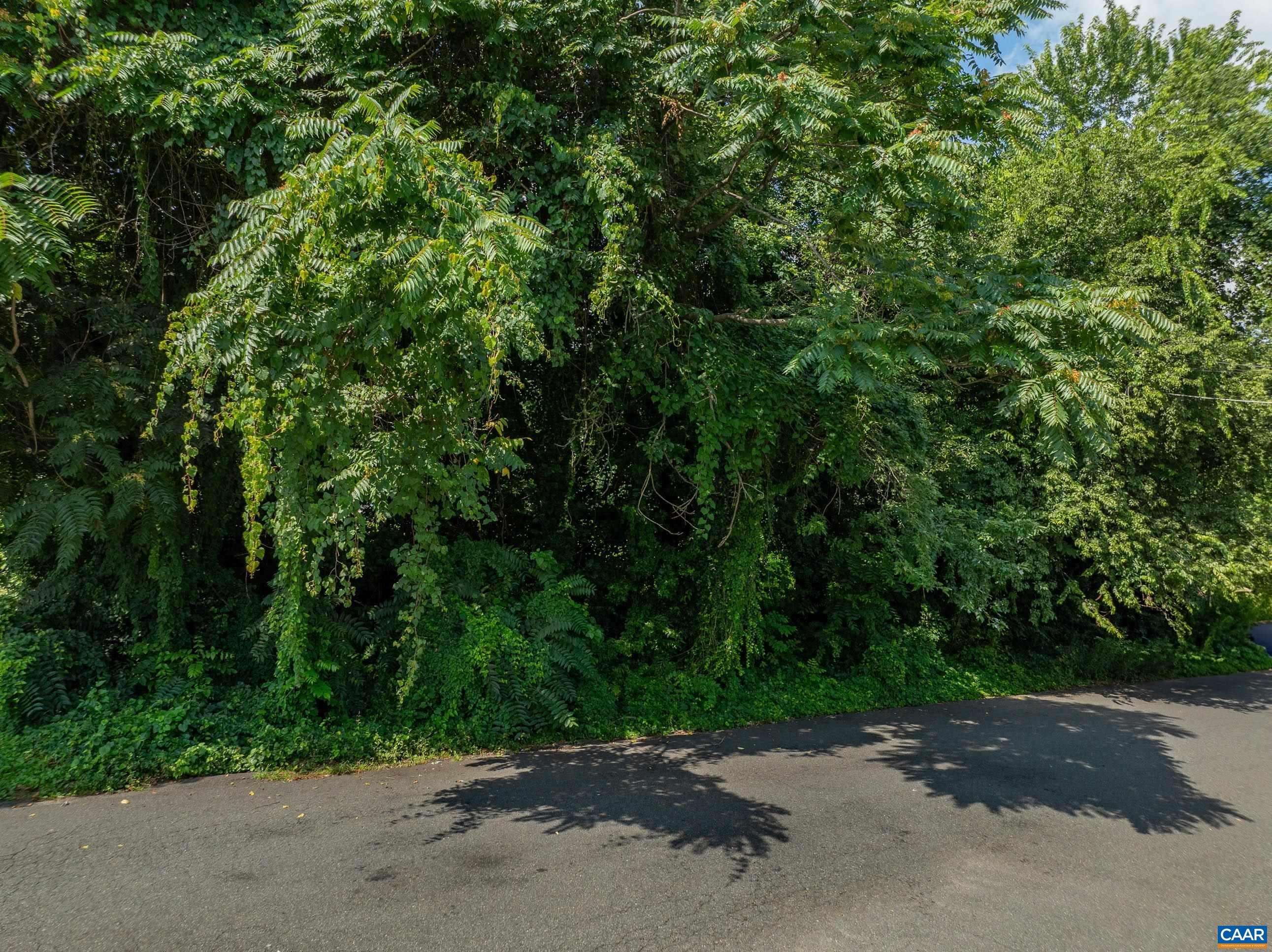1411 CHESAPEAKE ST, CHARLOTTESVILLE, Virginia 22902, 5 Bedrooms Bedrooms, ,4 BathroomsBathrooms,Residential,1411 CHESAPEAKE ST,666885 MLS # 666885