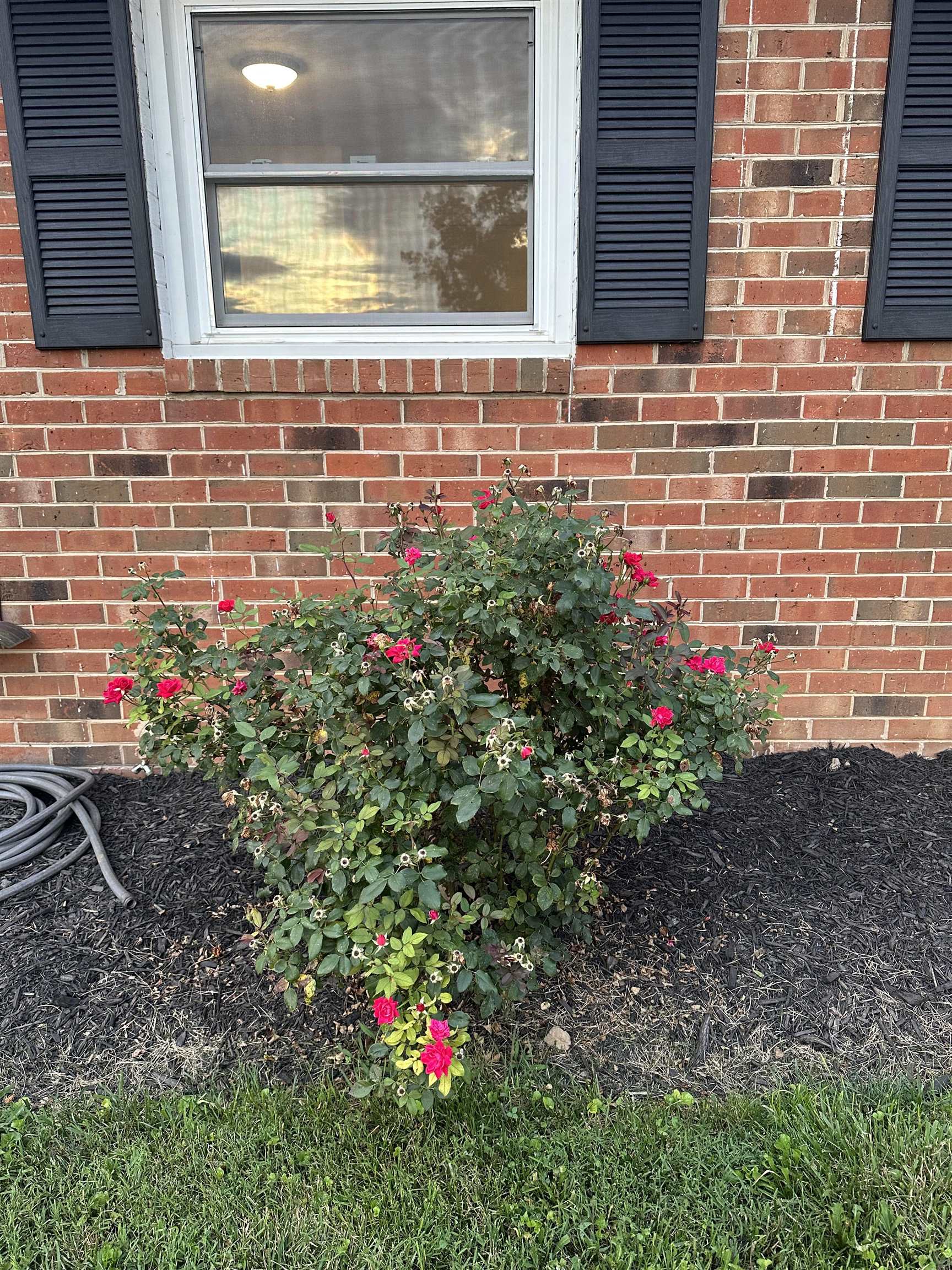 281 ELKIN CIR, WAYNESBORO, Virginia 22980, 3 Bedrooms Bedrooms, ,1 BathroomBathrooms,Residential,281 ELKIN CIR,666954 MLS # 666954