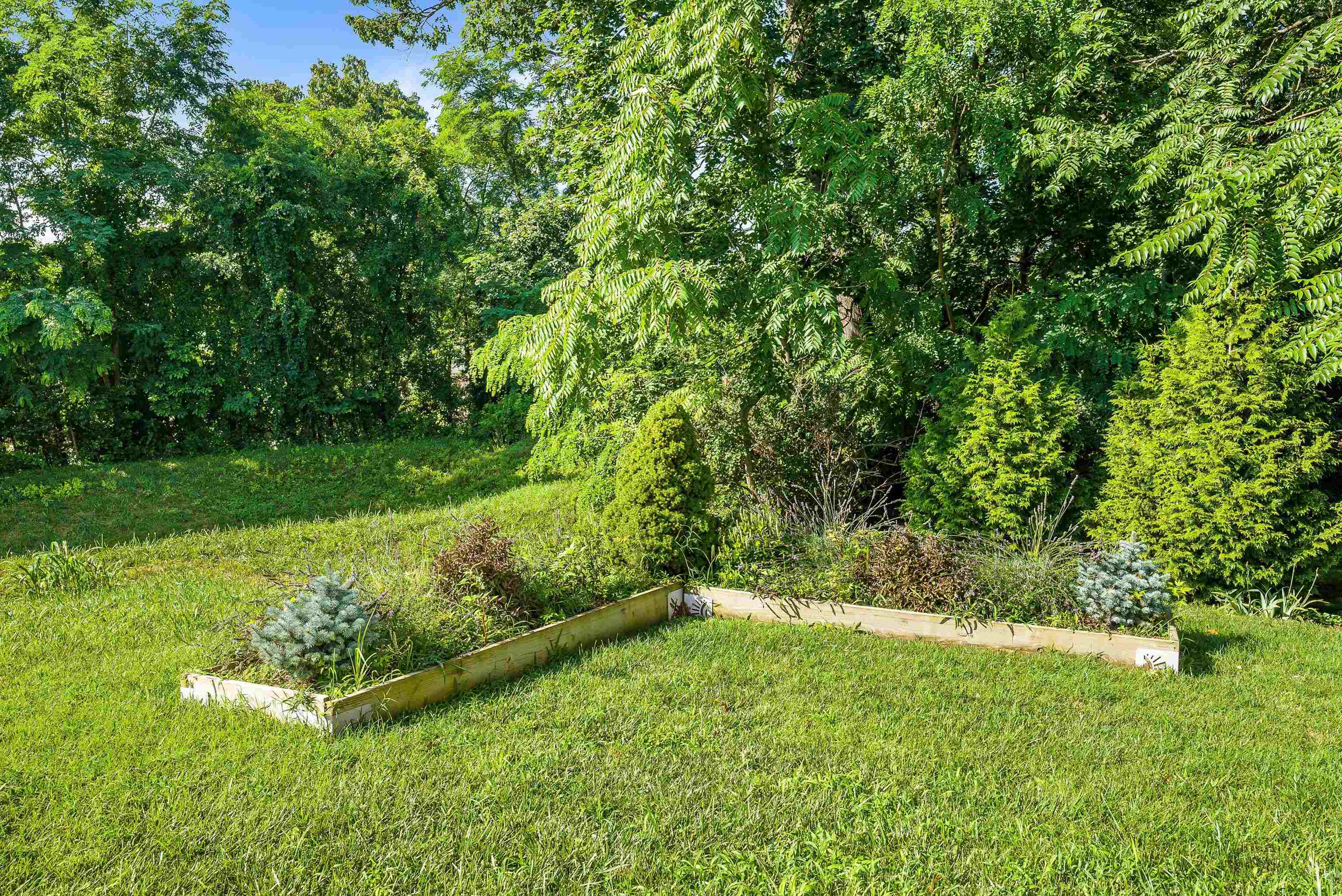 229 FOREST RIDGE RD, STAUNTON, Virginia 24401, 4 Bedrooms Bedrooms, ,2 BathroomsBathrooms,Residential,229 FOREST RIDGE RD,666958 MLS # 666958