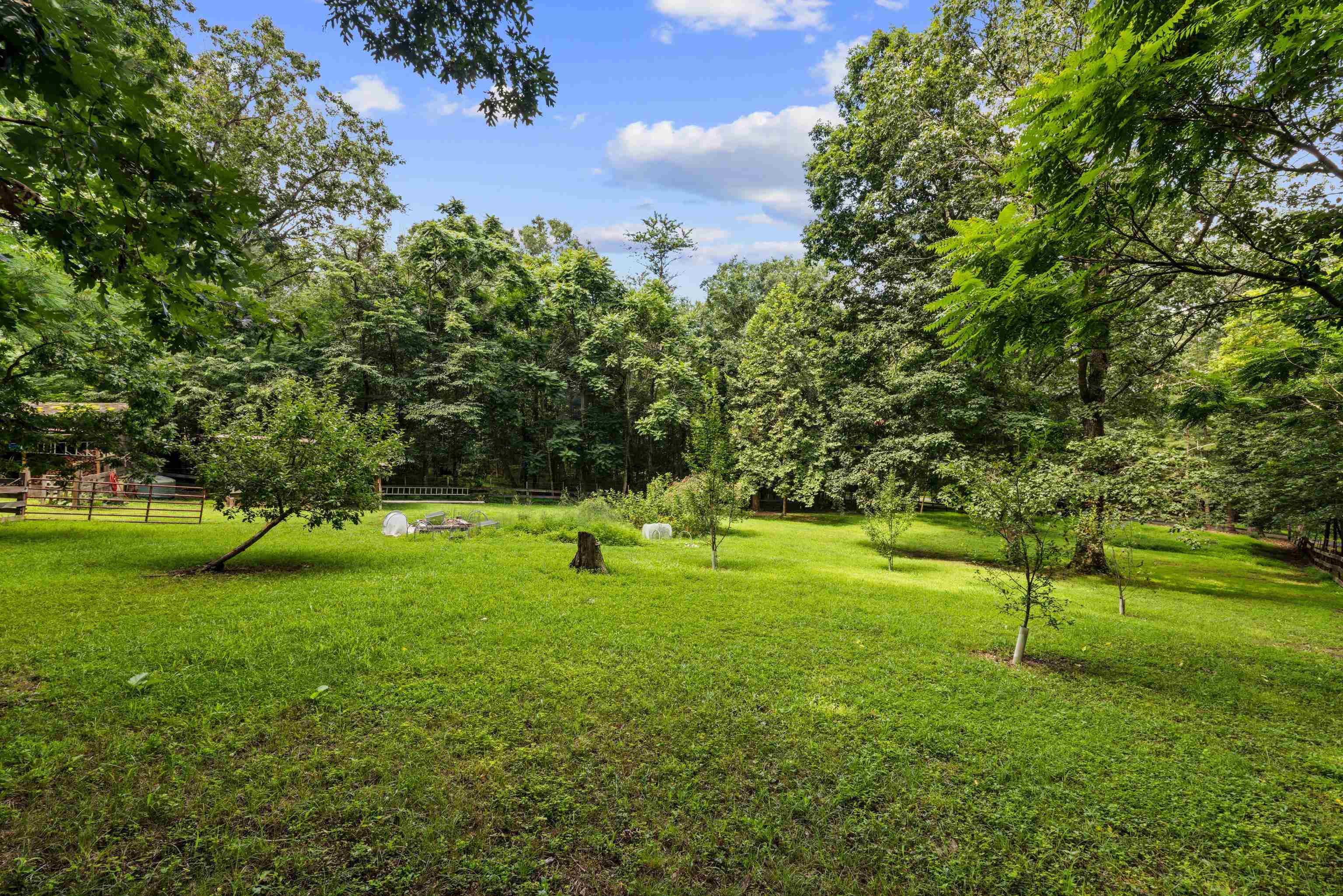 778 LEBANON CHURCH RD, MOUNT SIDNEY, Virginia 24467, 3 Bedrooms Bedrooms, ,2 BathroomsBathrooms,Residential,5 ACRES OF PURE CALM LIVING,778 LEBANON CHURCH RD,666976 MLS # 666976