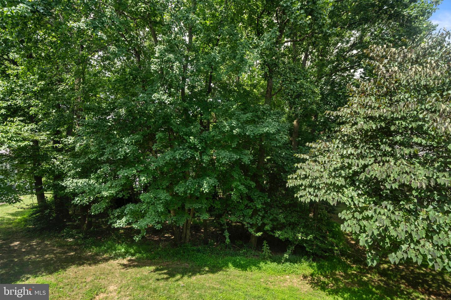 1281 WEDGEWOOD MANOR WAY, RESTON, Virginia 20194, 3 Bedrooms Bedrooms, ,3 BathroomsBathrooms,Residential,For sale,1281 WEDGEWOOD MANOR WAY,VAFX2249478 MLS # VAFX2249478