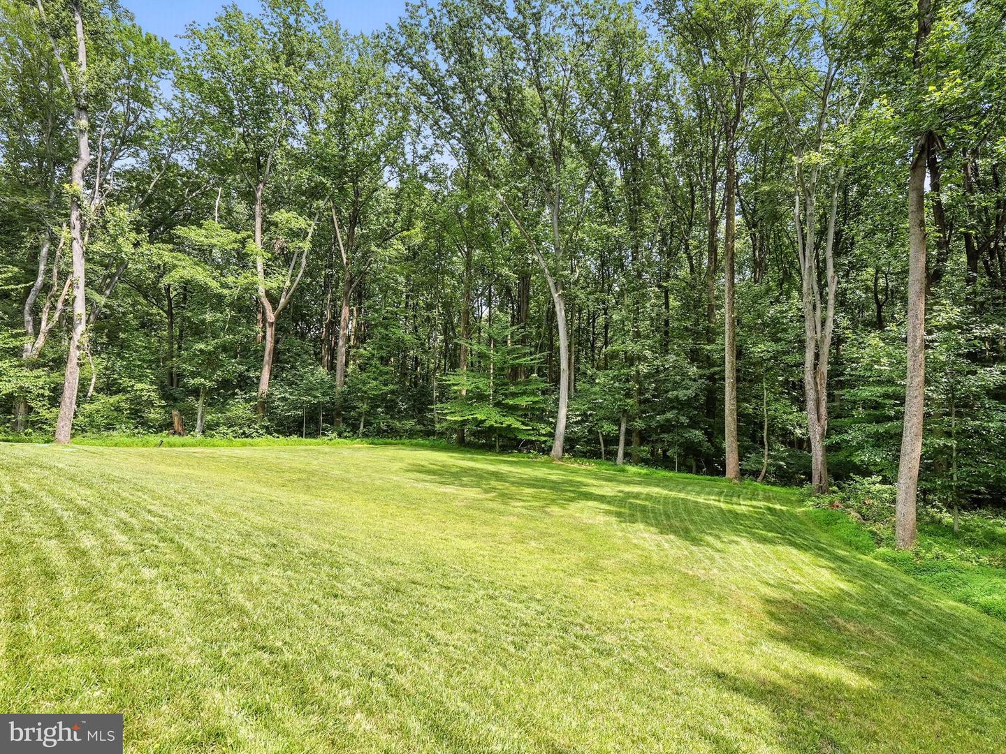 41737 DALEVIEW LN, LEESBURG, Virginia 20176, 4 Bedrooms Bedrooms, ,3 BathroomsBathrooms,Residential,For sale,41737 DALEVIEW LN,VALO2101410 MLS # VALO2101410