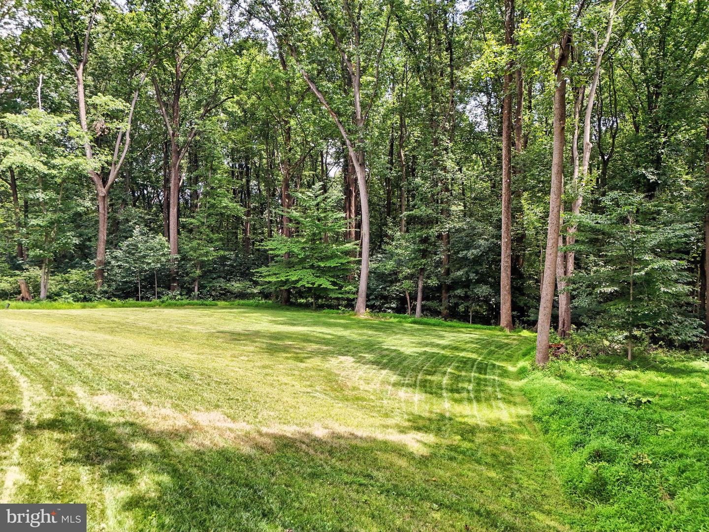 41737 DALEVIEW LN, LEESBURG, Virginia 20176, 4 Bedrooms Bedrooms, ,3 BathroomsBathrooms,Residential,For sale,41737 DALEVIEW LN,VALO2101410 MLS # VALO2101410