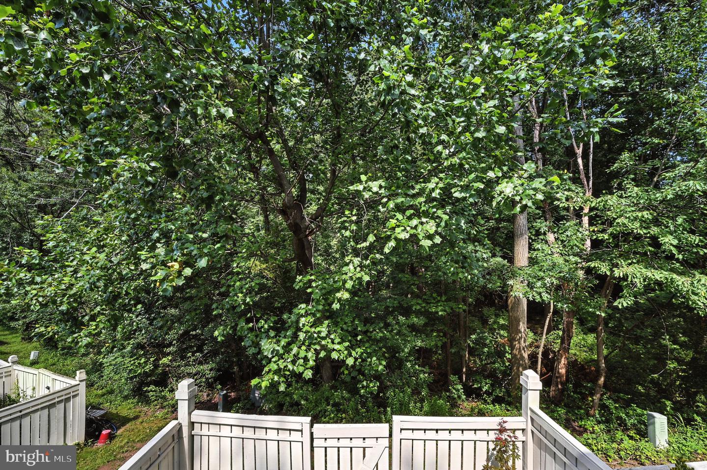 1653 FIELDTHORN DR, RESTON, Virginia 20194, 2 Bedrooms Bedrooms, ,2 BathroomsBathrooms,Residential,For sale,1653 FIELDTHORN DR,VAFX2255904 MLS # VAFX2255904
