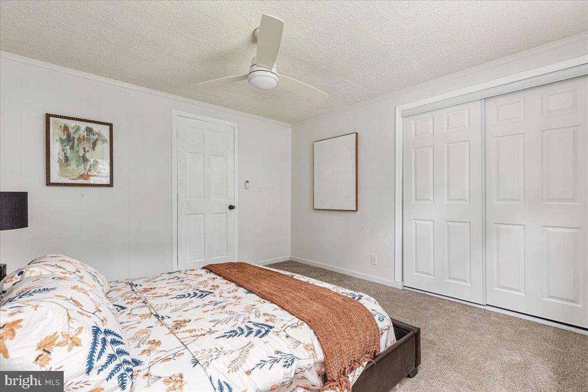 101 DELAWARE TRL, WINCHESTER, Virginia 22602, 3 Bedrooms Bedrooms, ,2 BathroomsBathrooms,Residential,For sale,101 DELAWARE TRL,VAFV2035496 MLS # VAFV2035496
