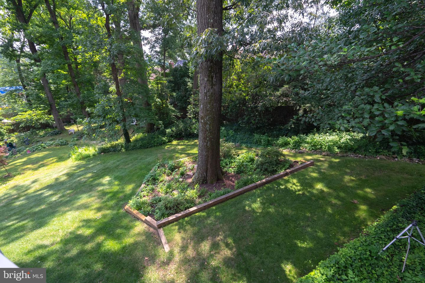 1302 TRINITY DR, ALEXANDRIA, Virginia 22314, 3 Bedrooms Bedrooms, ,3 BathroomsBathrooms,Residential,For sale,1302 TRINITY DR,VAAX2047602 MLS # VAAX2047602