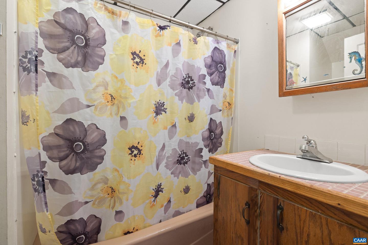 1411 CHESAPEAKE ST, CHARLOTTESVILLE, Virginia 22902, 5 Bedrooms Bedrooms, ,4 BathroomsBathrooms,Residential,For sale,1411 CHESAPEAKE ST,666885 MLS # 666885