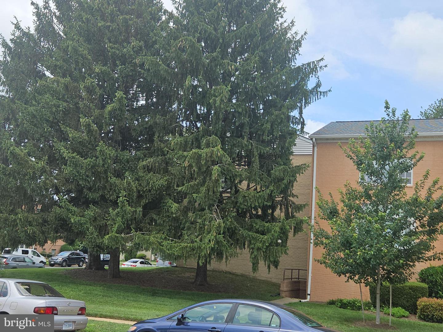 2916 PEYTON RANDOLPH DR #158, FALLS CHURCH, Virginia 22044, 1 Bedroom Bedrooms, ,1 BathroomBathrooms,Residential,For sale,2916 PEYTON RANDOLPH DR #158,VAFX2256644 MLS # VAFX2256644