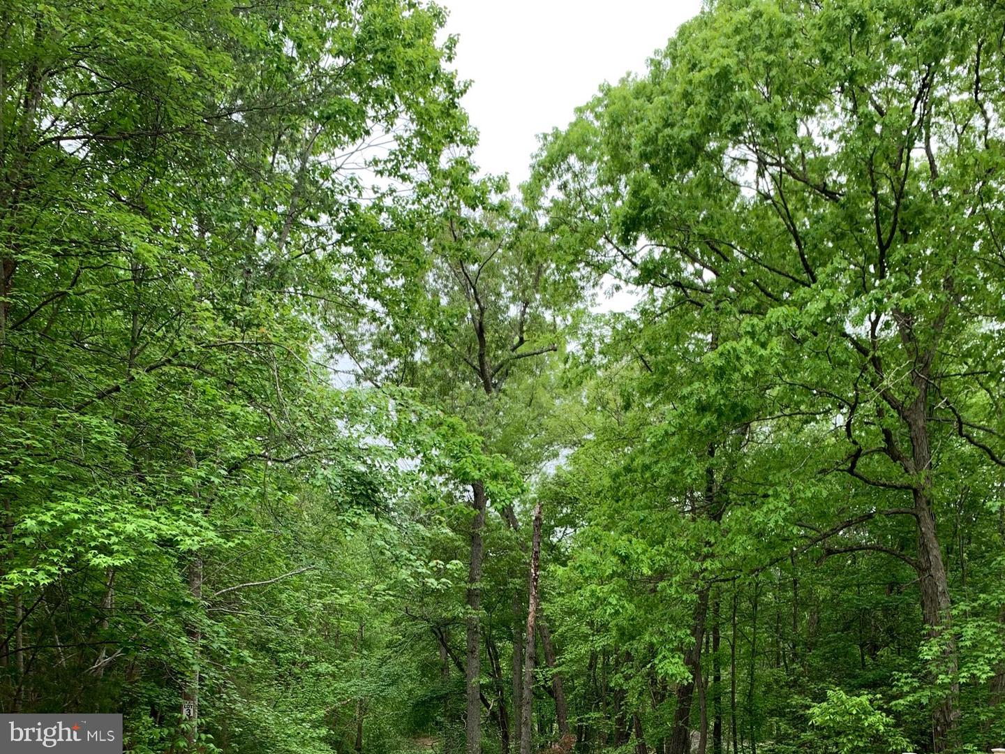 LOT 105 LOIS LANE, BUMPASS, Virginia 23024, ,Land,For sale,LOT 105 LOIS LANE,VALA2008296 MLS # VALA2008296