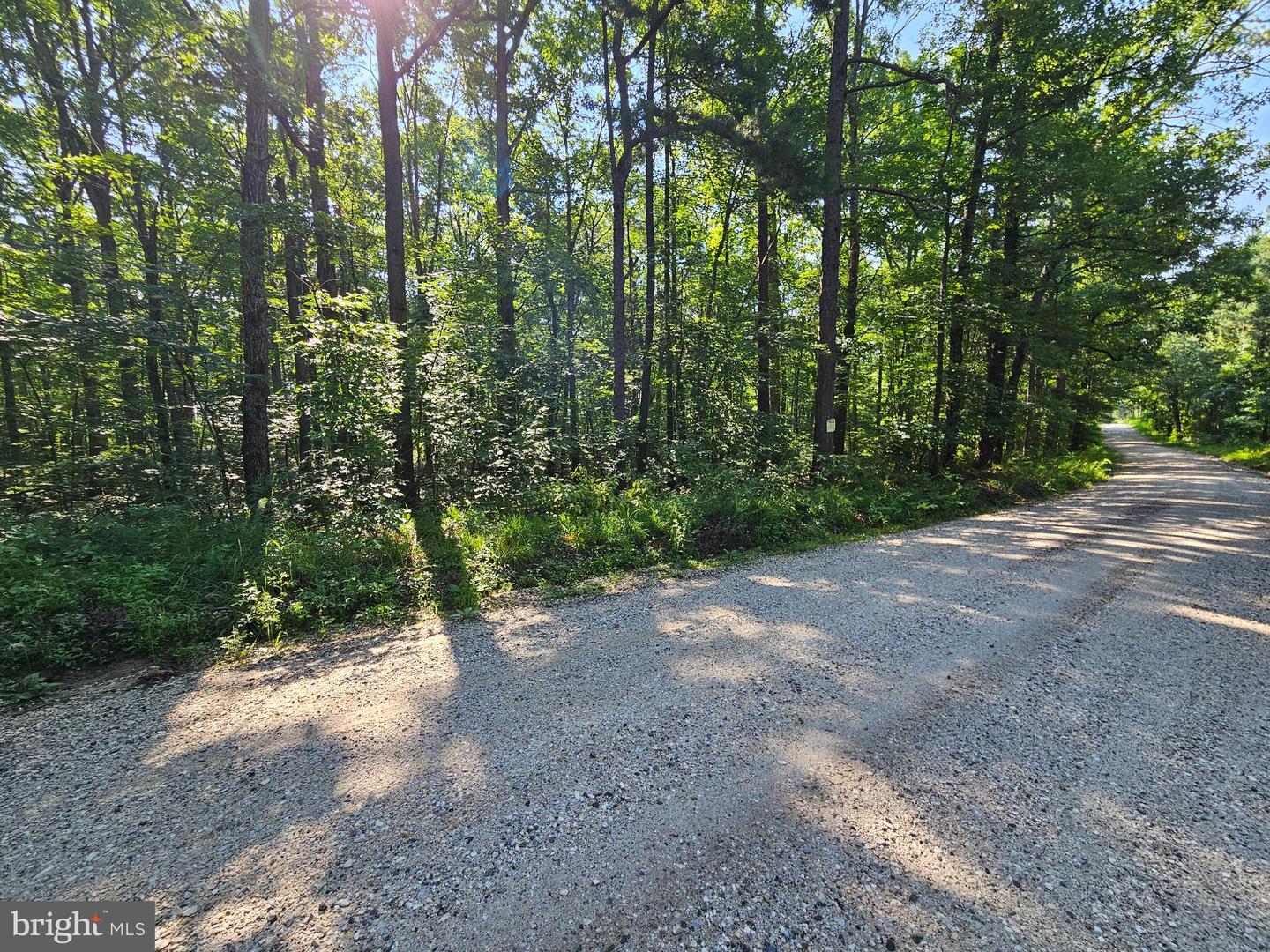 0 SYCAMORE CREEK RD, BUCKINGHAM, Virginia 23921, ,Land,For sale,0 SYCAMORE CREEK RD,VABH2000202 MLS # VABH2000202