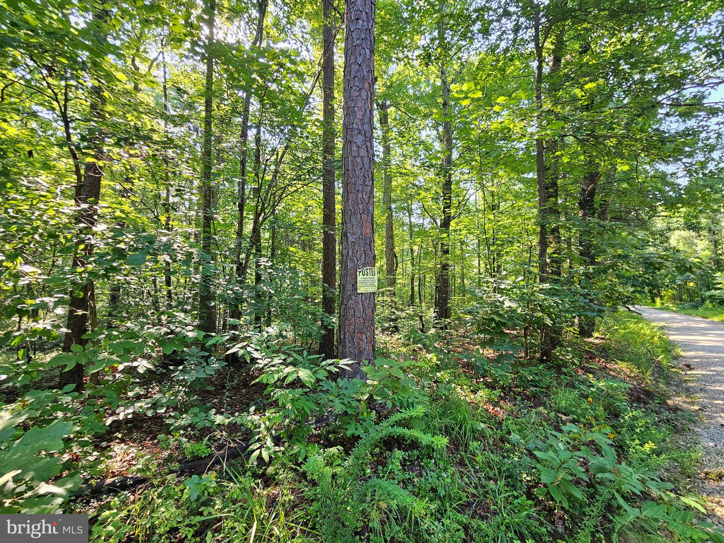 0 SYCAMORE CREEK RD, BUCKINGHAM, Virginia 23921, ,Land,For sale,0 SYCAMORE CREEK RD,VABH2000202 MLS # VABH2000202