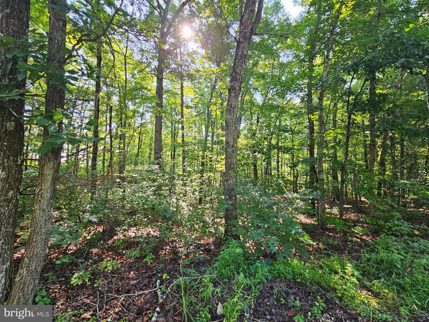 0 SYCAMORE CREEK RD, BUCKINGHAM, Virginia 23921, ,Land,For sale,0 SYCAMORE CREEK RD,VABH2000202 MLS # VABH2000202