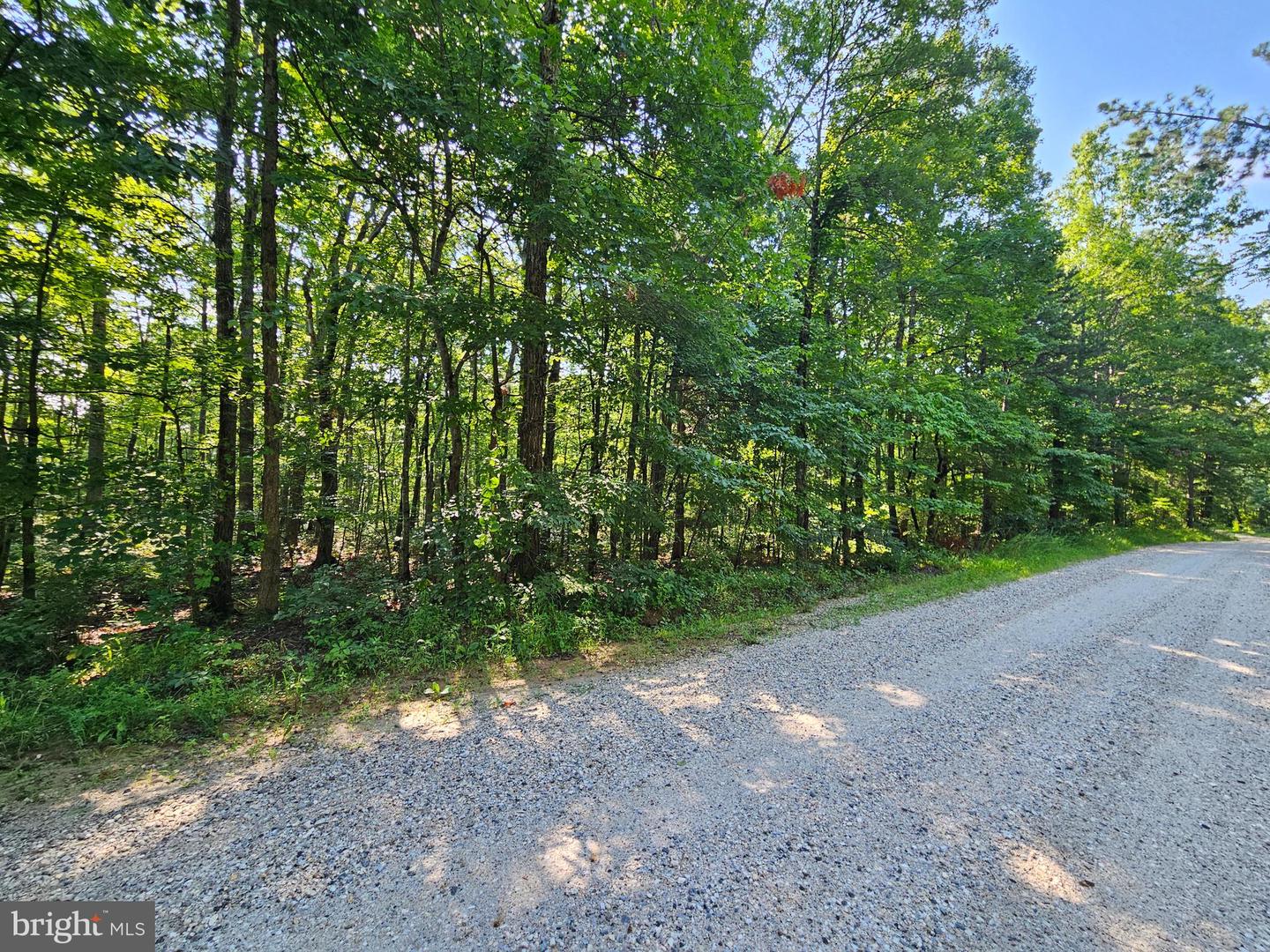 0 SYCAMORE CREEK RD, BUCKINGHAM, Virginia 23921, ,Land,For sale,0 SYCAMORE CREEK RD,VABH2000202 MLS # VABH2000202