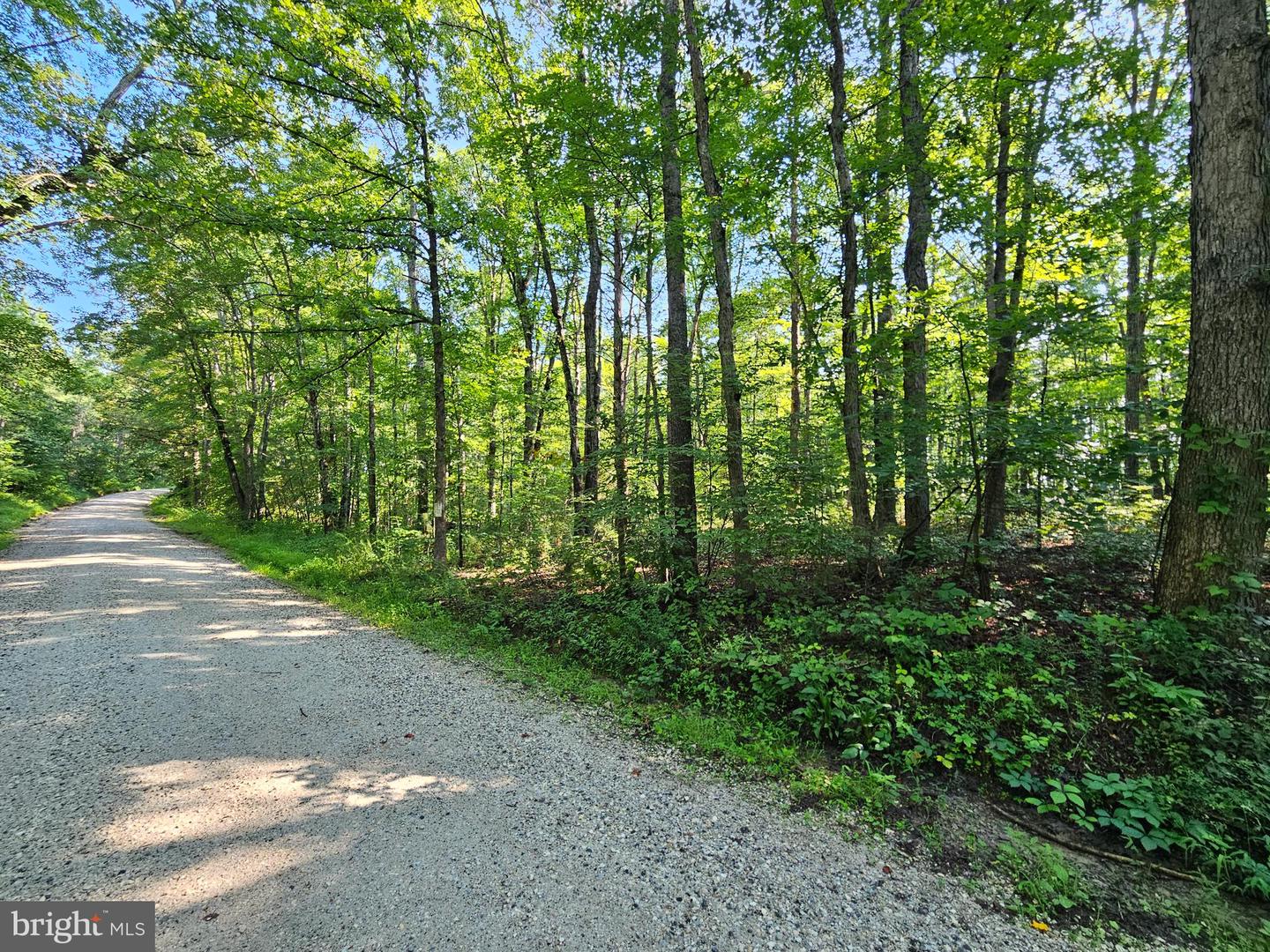 0 SYCAMORE CREEK RD, BUCKINGHAM, Virginia 23921, ,Land,For sale,0 SYCAMORE CREEK RD,VABH2000202 MLS # VABH2000202