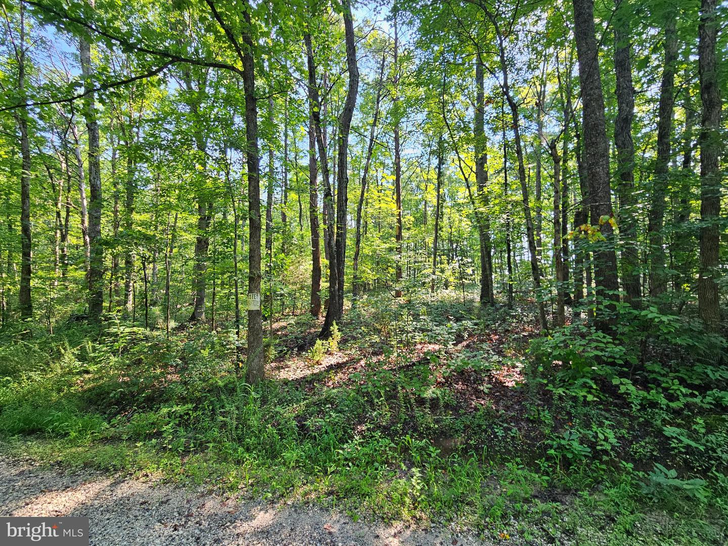 0 SYCAMORE CREEK RD, BUCKINGHAM, Virginia 23921, ,Land,For sale,0 SYCAMORE CREEK RD,VABH2000202 MLS # VABH2000202