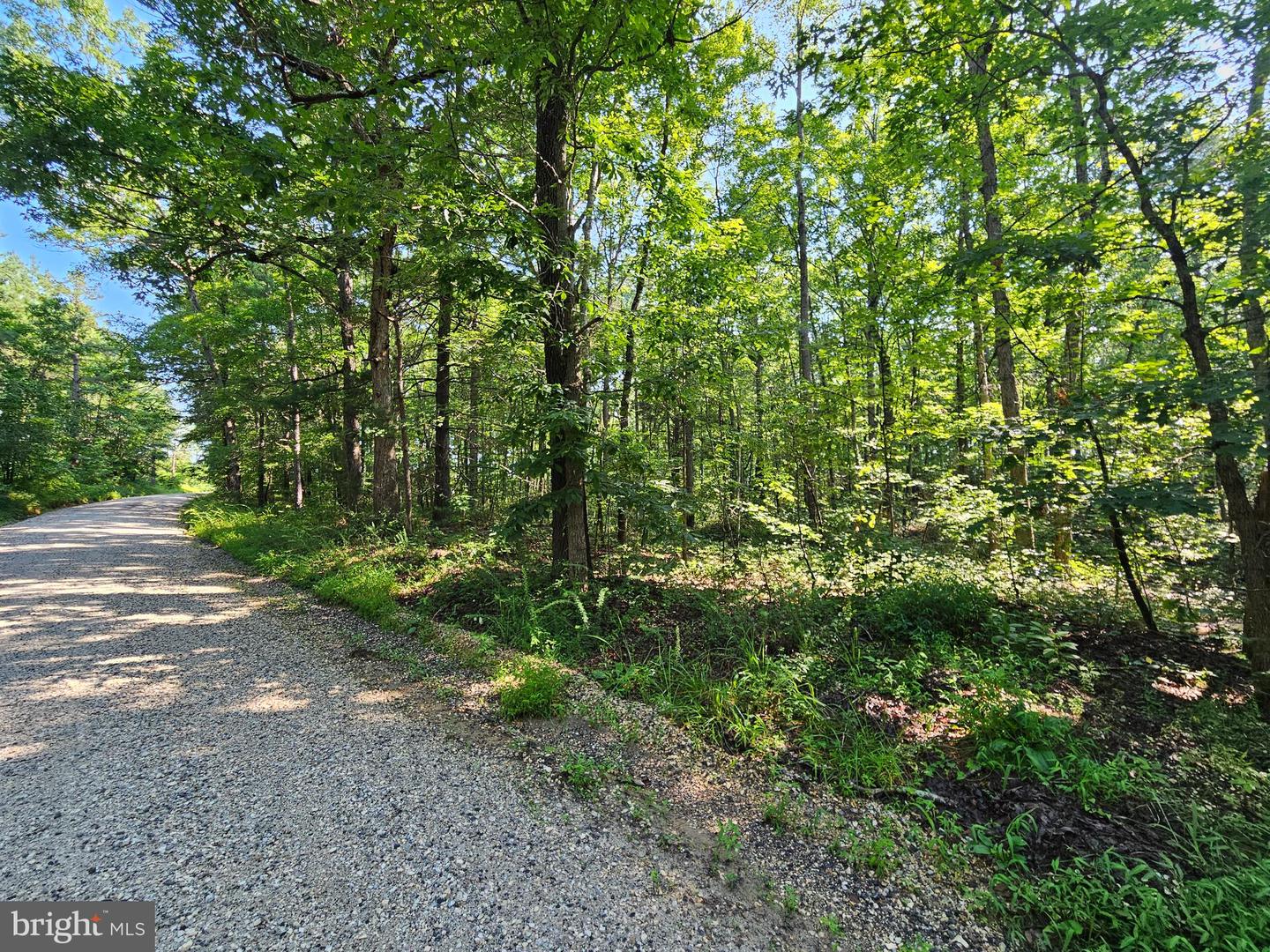 0 SYCAMORE CREEK RD, BUCKINGHAM, Virginia 23921, ,Land,For sale,0 SYCAMORE CREEK RD,VABH2000202 MLS # VABH2000202