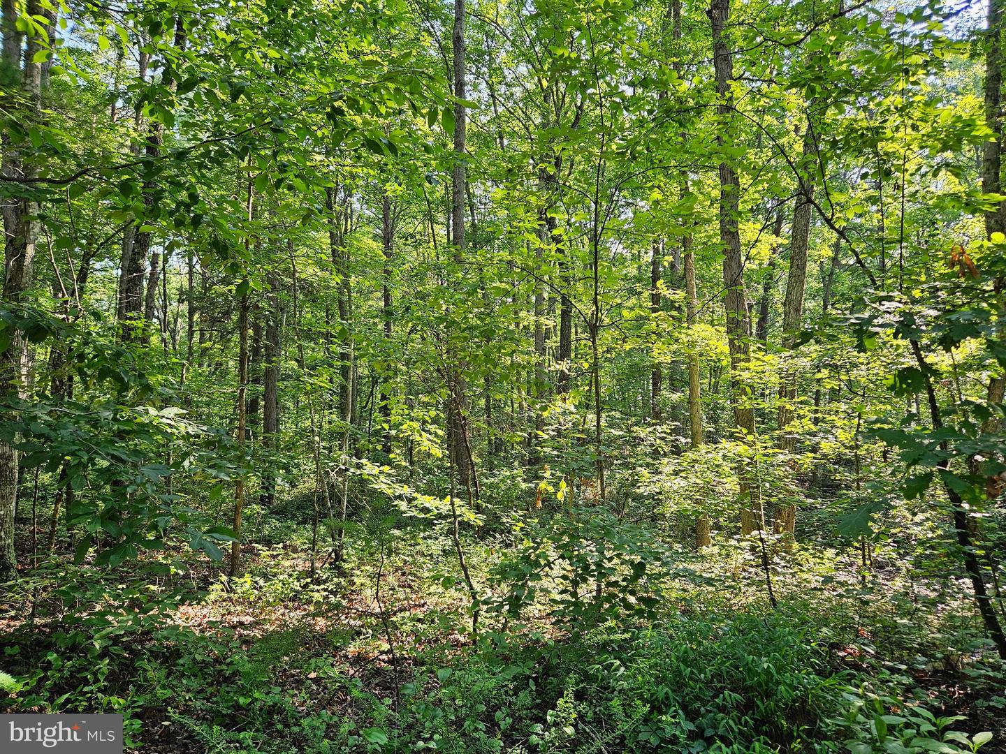 0 SYCAMORE CREEK RD, BUCKINGHAM, Virginia 23921, ,Land,For sale,0 SYCAMORE CREEK RD,VABH2000202 MLS # VABH2000202