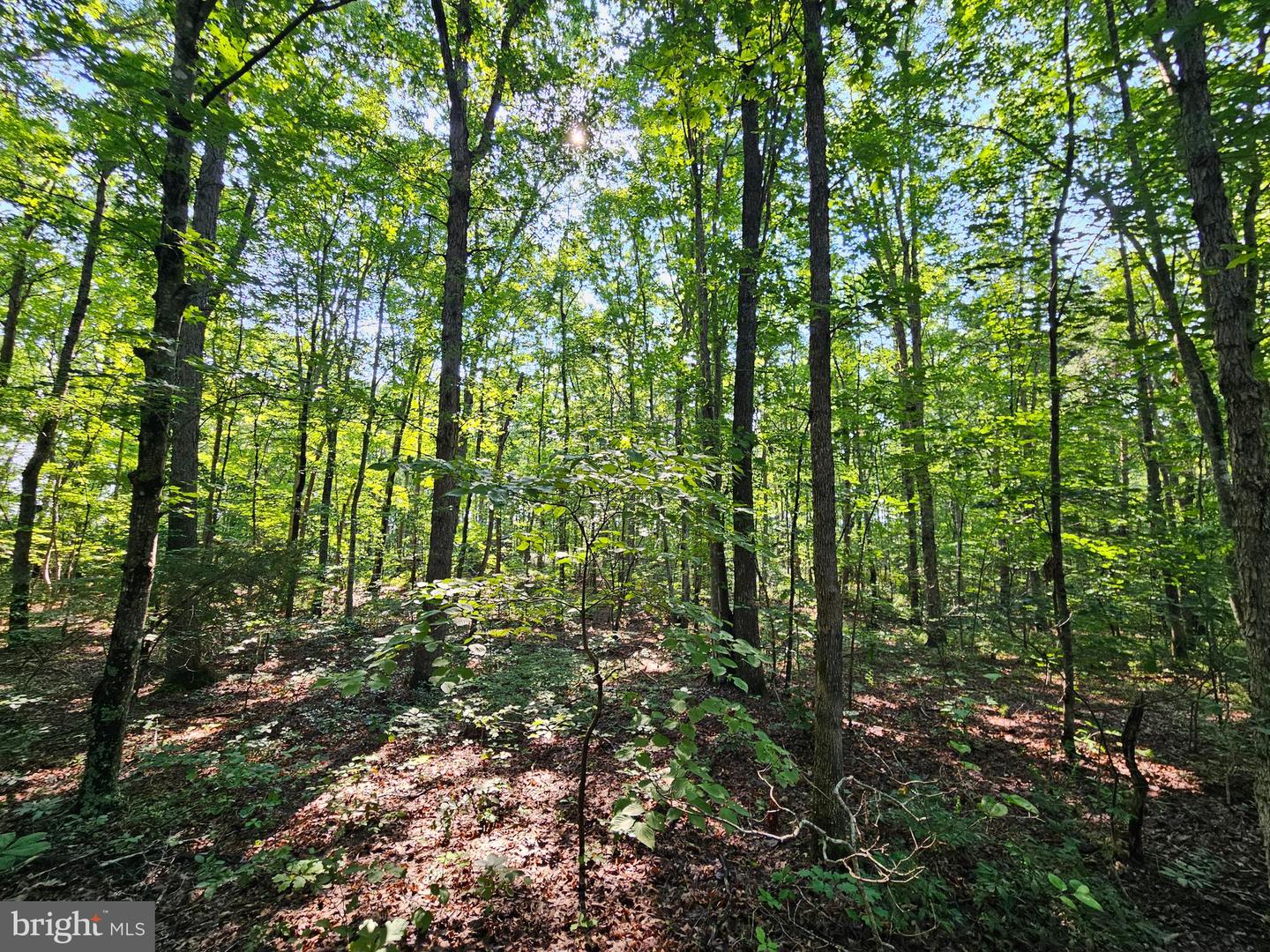 0 SYCAMORE CREEK RD, BUCKINGHAM, Virginia 23921, ,Land,For sale,0 SYCAMORE CREEK RD,VABH2000202 MLS # VABH2000202