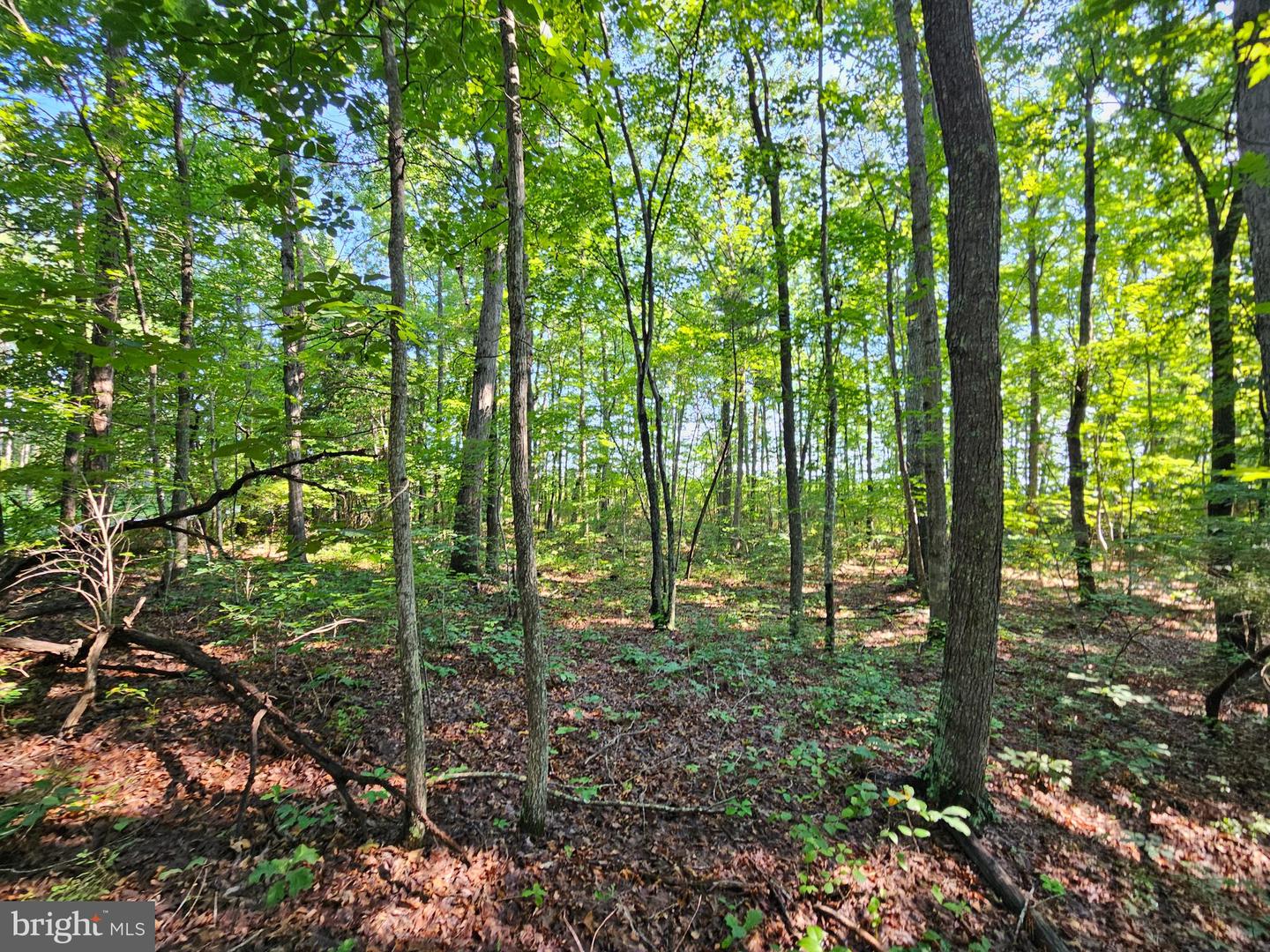 0 SYCAMORE CREEK RD, BUCKINGHAM, Virginia 23921, ,Land,For sale,0 SYCAMORE CREEK RD,VABH2000202 MLS # VABH2000202