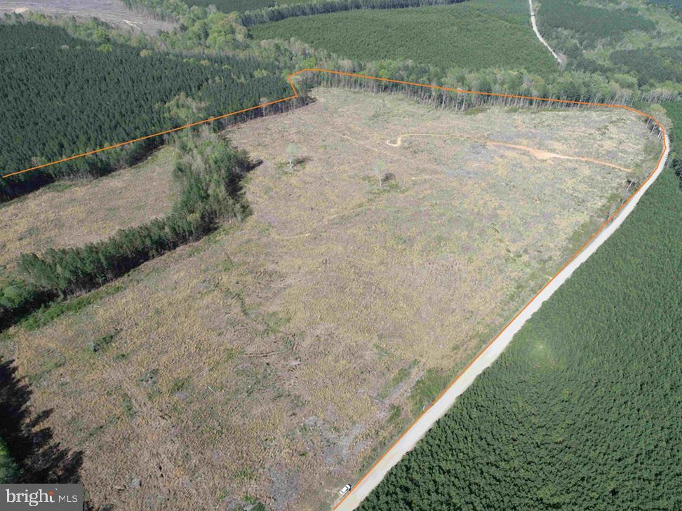 CHERRY HILL RD. (RT. 609) (TRACT:7266 D. PLECKLER), MC KENNEY, Virginia 23872, ,Farm,For sale,CHERRY HILL RD. (RT. 609) (TRACT:7266 D. PLECKLER),VADW2000046 MLS # VADW2000046