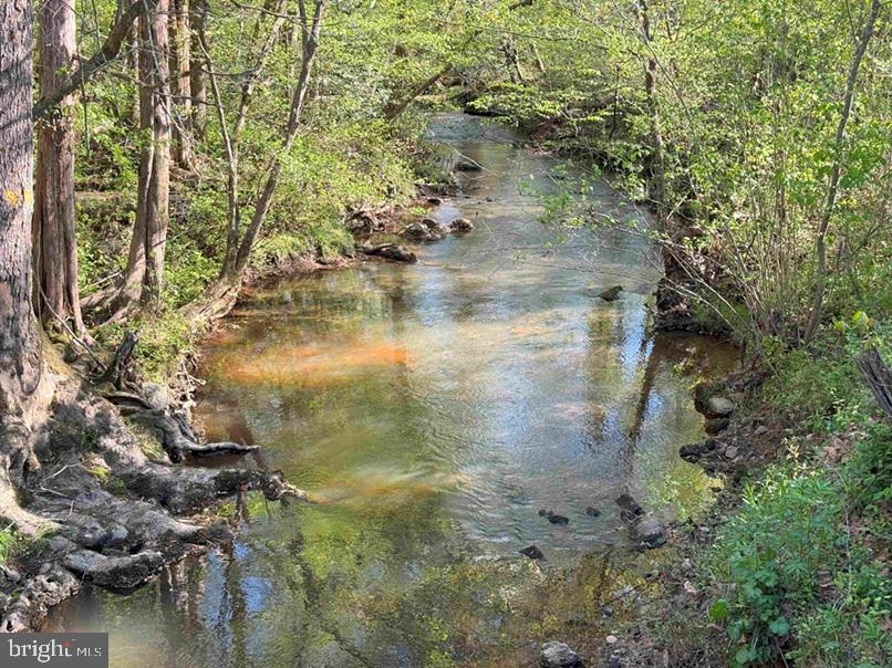 CHERRY HILL RD. (RT. 609) (TRACT:7266 D. PLECKLER), MC KENNEY, Virginia 23872, ,Farm,For sale,CHERRY HILL RD. (RT. 609) (TRACT:7266 D. PLECKLER),VADW2000046 MLS # VADW2000046