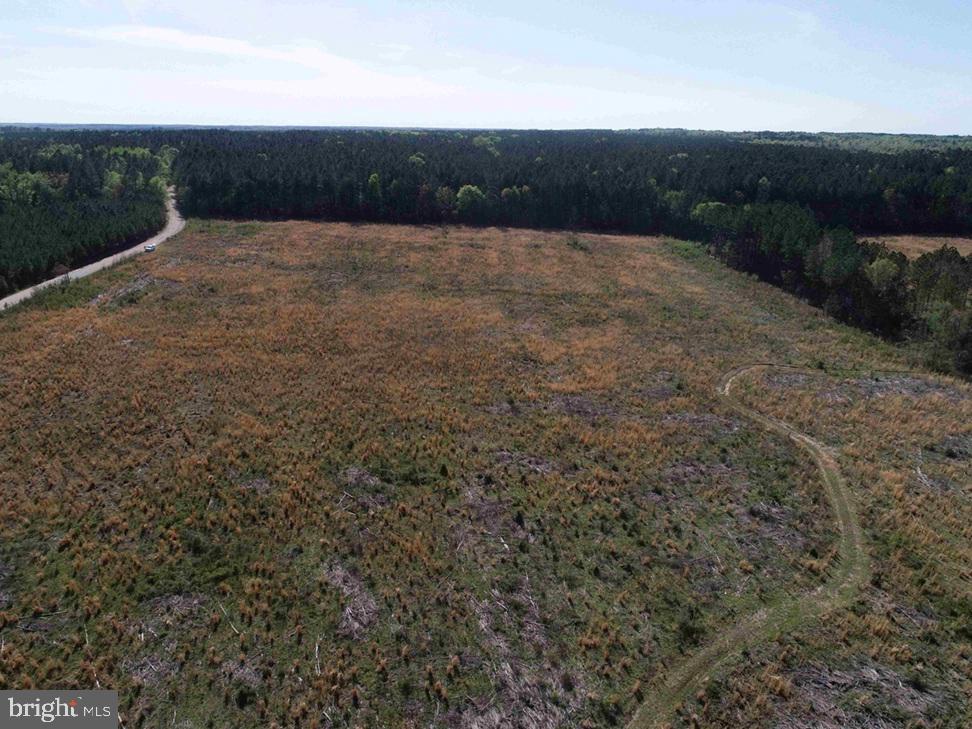 CHERRY HILL RD. (RT. 609) (TRACT:7266 D. PLECKLER), MC KENNEY, Virginia 23872, ,Farm,For sale,CHERRY HILL RD. (RT. 609) (TRACT:7266 D. PLECKLER),VADW2000046 MLS # VADW2000046