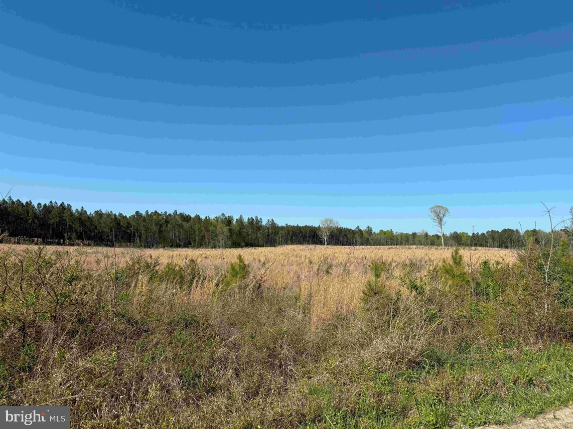 CHERRY HILL RD. (RT. 609) (TRACT:7266 D. PLECKLER), MC KENNEY, Virginia 23872, ,Farm,For sale,CHERRY HILL RD. (RT. 609) (TRACT:7266 D. PLECKLER),VADW2000046 MLS # VADW2000046