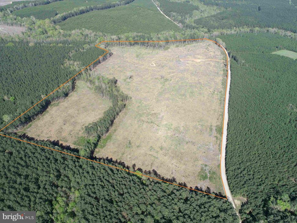 CHERRY HILL RD. (RT. 609) (TRACT:7266 D. PLECKLER), MC KENNEY, Virginia 23872, ,Farm,For sale,CHERRY HILL RD. (RT. 609) (TRACT:7266 D. PLECKLER),VADW2000046 MLS # VADW2000046