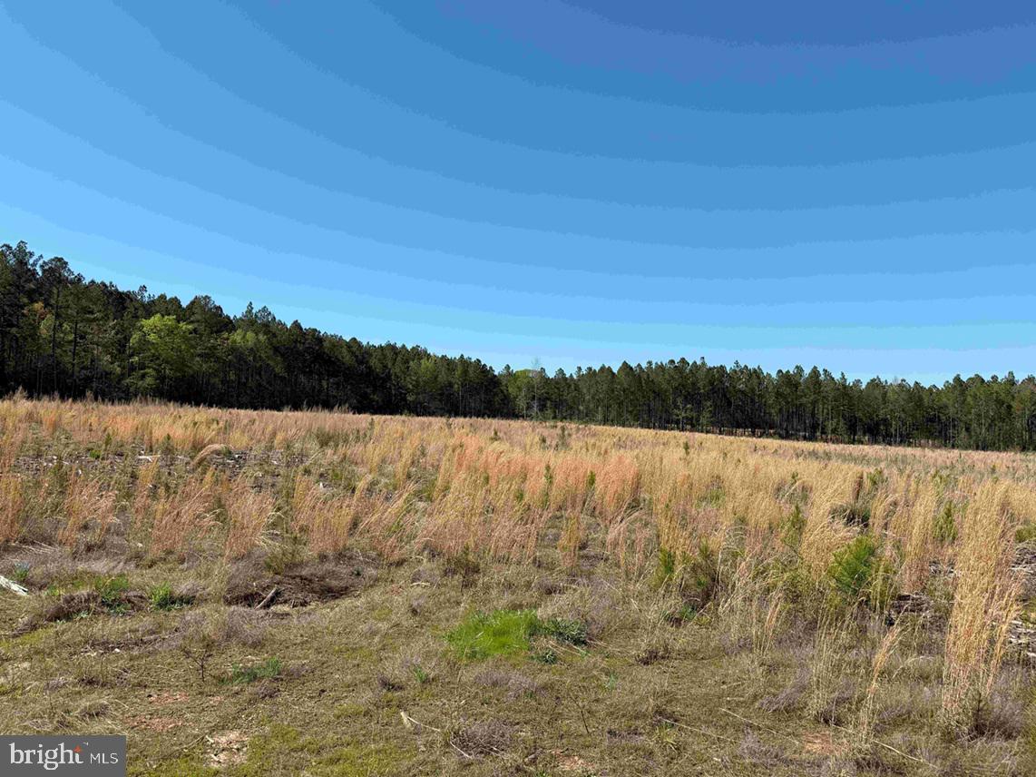 CHERRY HILL RD. (RT. 609) (TRACT:7266 D. PLECKLER), MC KENNEY, Virginia 23872, ,Farm,For sale,CHERRY HILL RD. (RT. 609) (TRACT:7266 D. PLECKLER),VADW2000046 MLS # VADW2000046