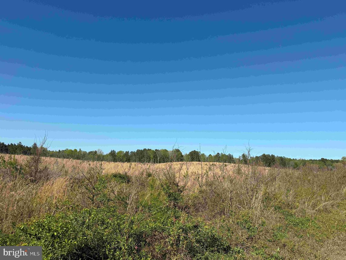 CHERRY HILL RD. (RT. 609) (TRACT:7266 D. PLECKLER), MC KENNEY, Virginia 23872, ,Farm,For sale,CHERRY HILL RD. (RT. 609) (TRACT:7266 D. PLECKLER),VADW2000046 MLS # VADW2000046