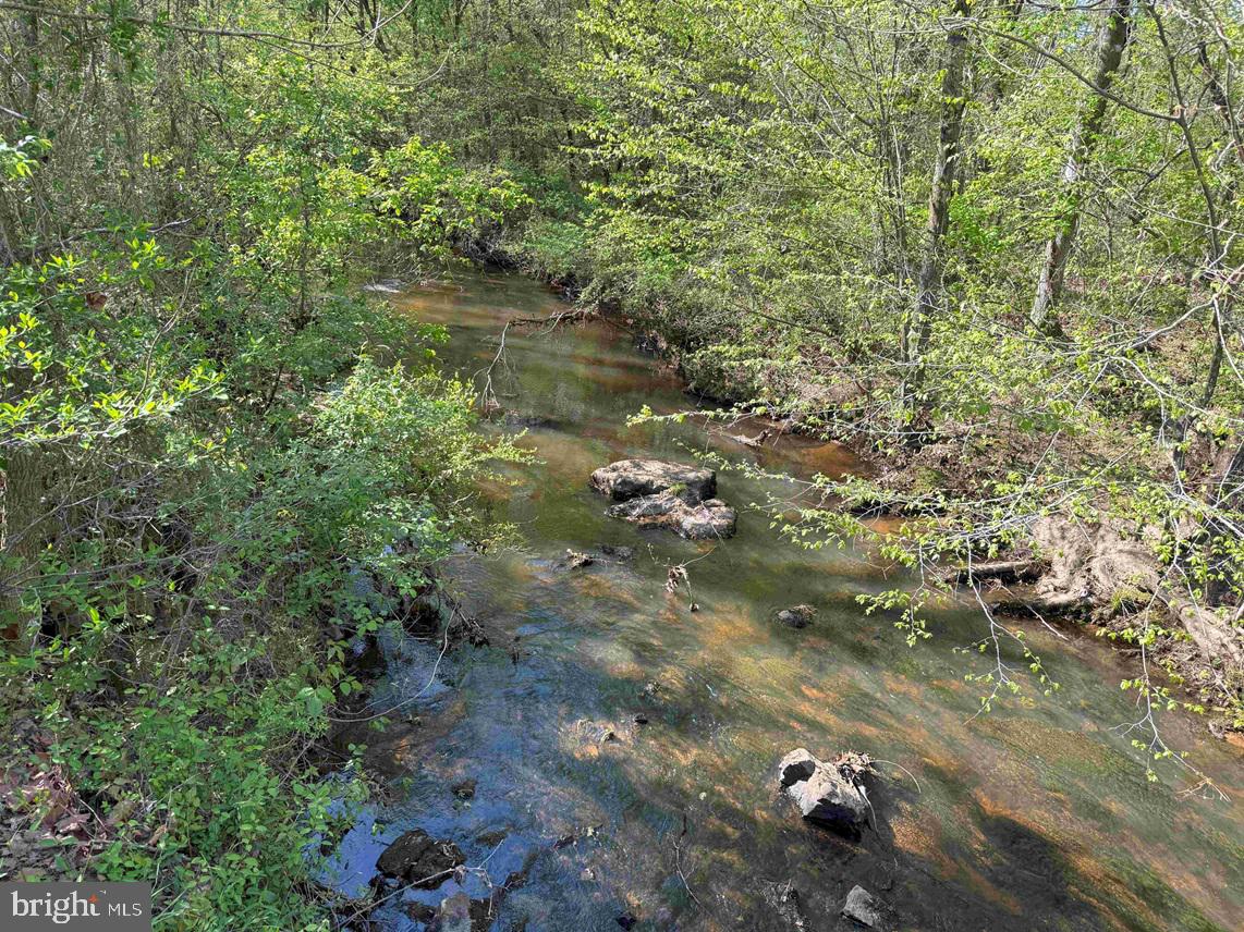 CHERRY HILL RD. (RT. 609) (TRACT:7266 D. PLECKLER), MC KENNEY, Virginia 23872, ,Farm,For sale,CHERRY HILL RD. (RT. 609) (TRACT:7266 D. PLECKLER),VADW2000046 MLS # VADW2000046