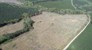 CHERRY HILL RD. (RT. 609) (TRACT:7266 D. PLECKLER), MC KENNEY, Virginia 23872, ,Farm,For sale,CHERRY HILL RD. (RT. 609) (TRACT:7266 D. PLECKLER),VADW2000046 MLS # VADW2000046