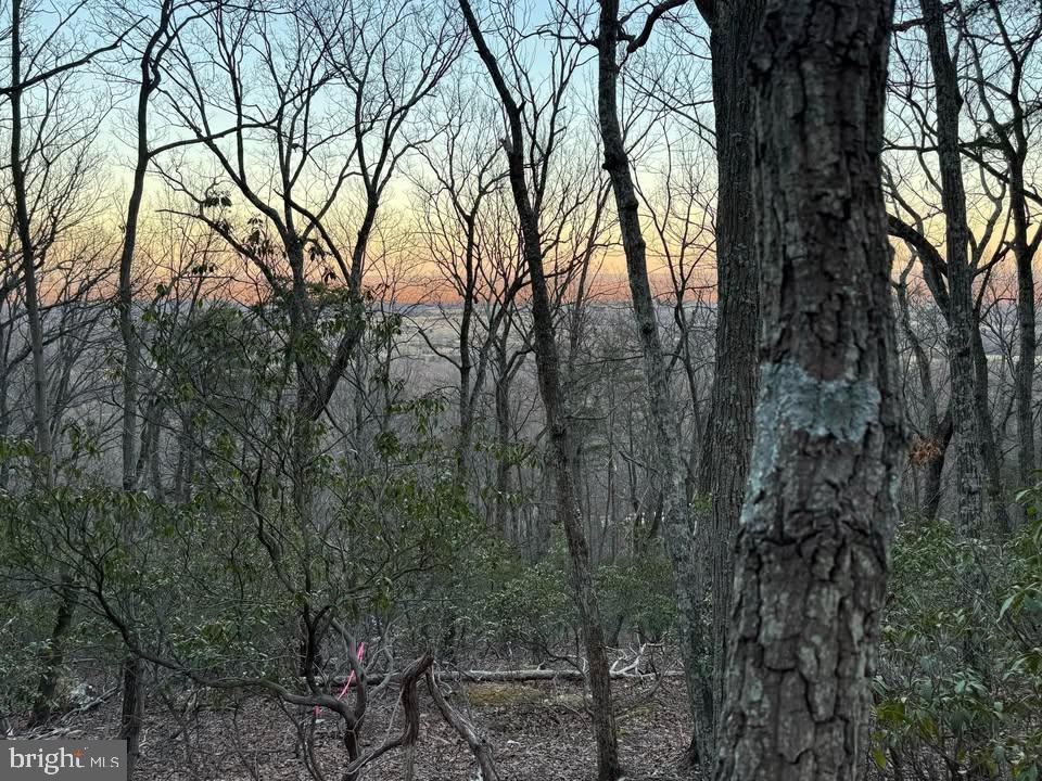2406 JACKSON DR, HAYMARKET, Virginia 20169, ,Land,For sale,2406 JACKSON DR,VAPW2099728 MLS # VAPW2099728