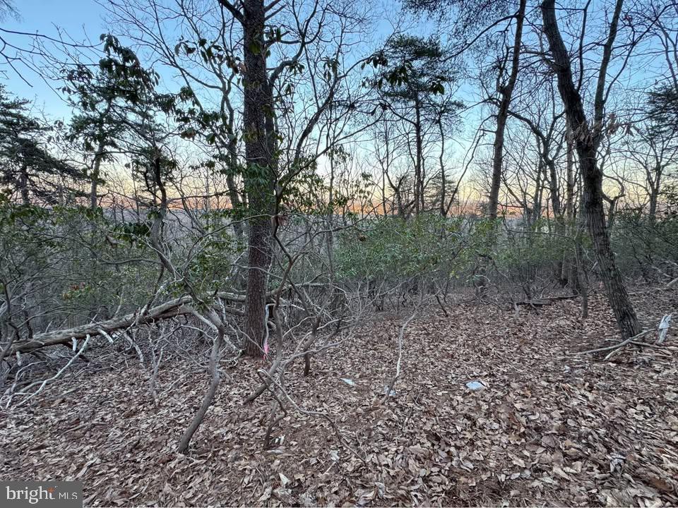 2406 JACKSON DR, HAYMARKET, Virginia 20169, ,Land,For sale,2406 JACKSON DR,VAPW2099728 MLS # VAPW2099728