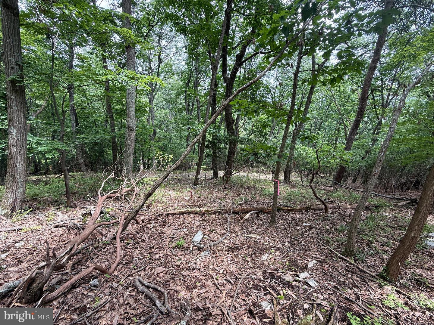 2406 JACKSON DR, HAYMARKET, Virginia 20169, ,Land,For sale,2406 JACKSON DR,VAPW2099728 MLS # VAPW2099728
