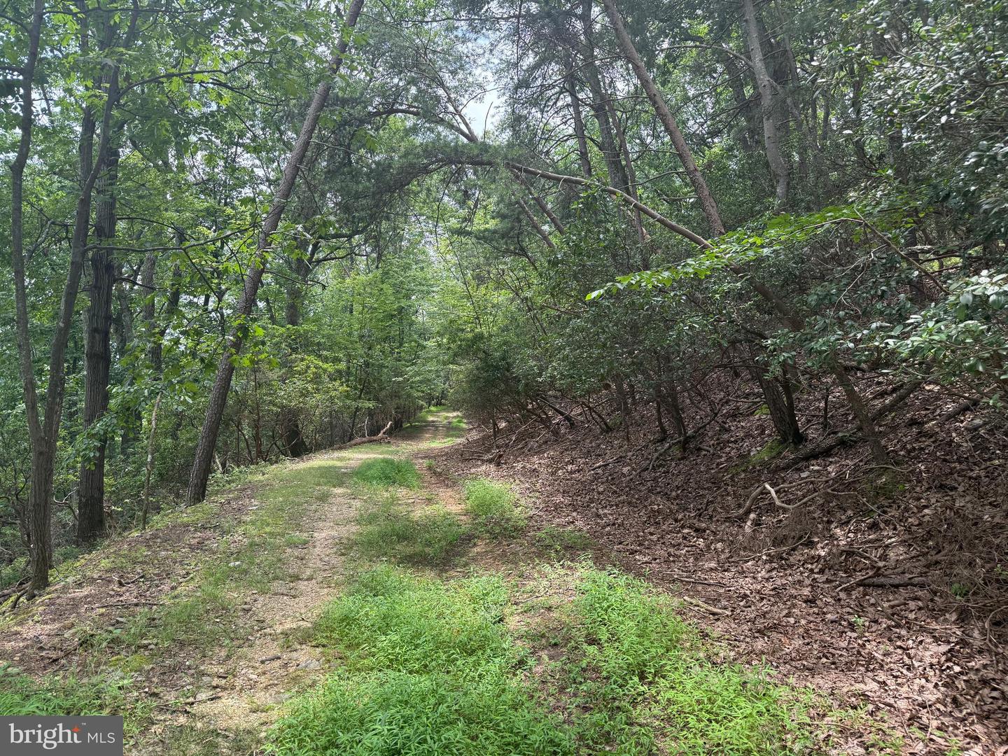 2406 JACKSON DR, HAYMARKET, Virginia 20169, ,Land,For sale,2406 JACKSON DR,VAPW2099728 MLS # VAPW2099728