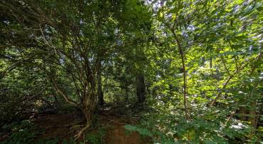 LOTS 1-2 BLACKBIRD WAY, FRONT ROYAL, Virginia 22630, ,Land,For sale,LOTS 1-2 BLACKBIRD WAY,VAWR2011770 MLS # VAWR2011770