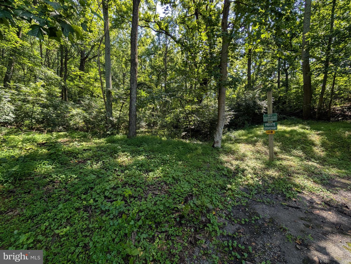 LOTS 83-84 ORIOLE CT, FRONT ROYAL, Virginia 22630, ,Land,For sale,LOTS 83-84 ORIOLE CT,VAWR2011772 MLS # VAWR2011772