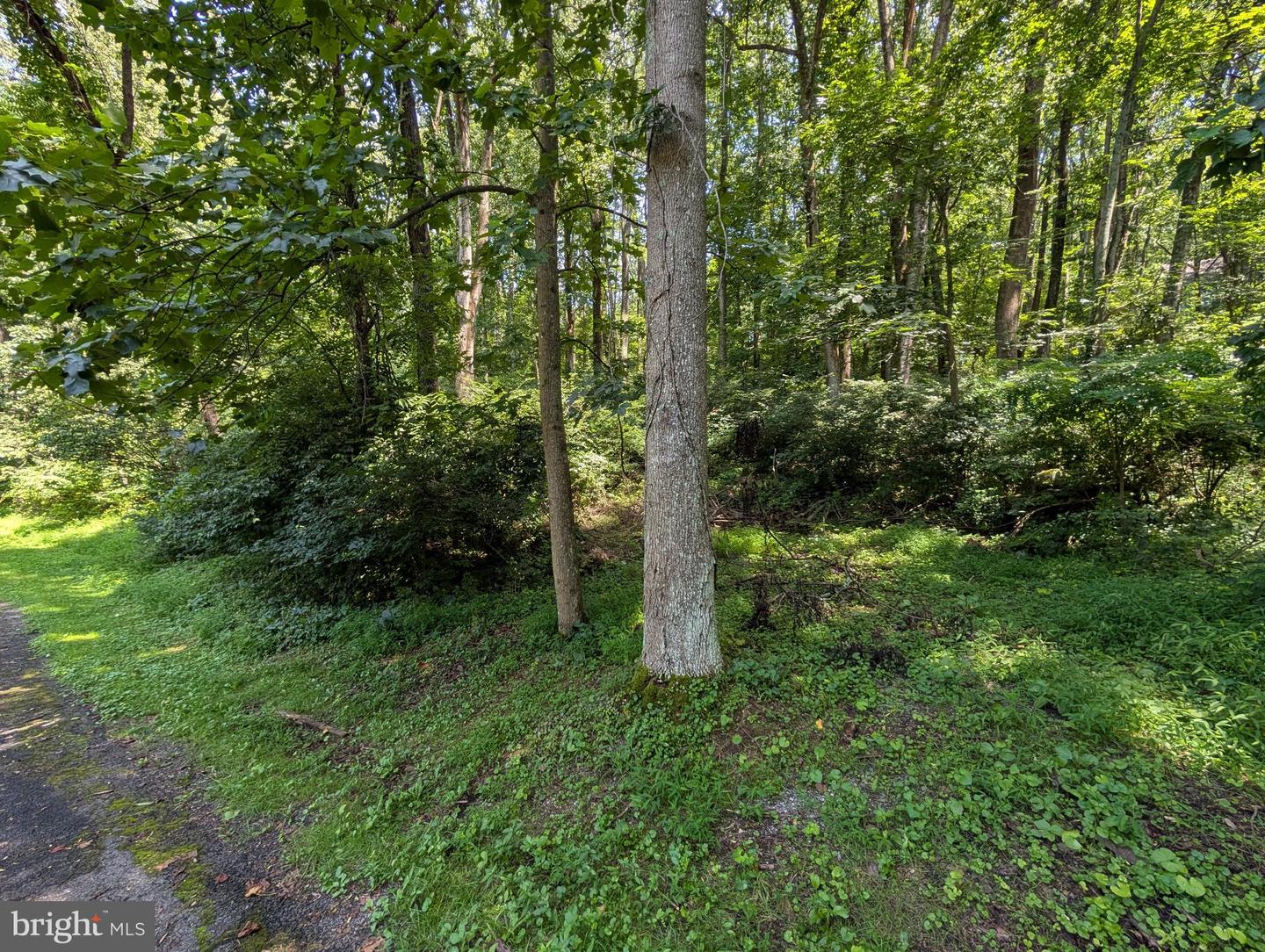 LOTS 83-84 ORIOLE CT, FRONT ROYAL, Virginia 22630, ,Land,For sale,LOTS 83-84 ORIOLE CT,VAWR2011772 MLS # VAWR2011772