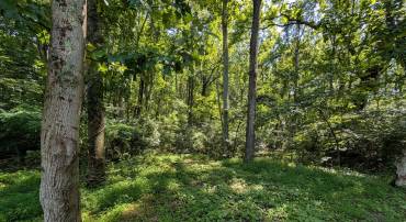 LOTS 83-84 ORIOLE CT, FRONT ROYAL, Virginia 22630, ,Land,For sale,LOTS 83-84 ORIOLE CT,VAWR2011772 MLS # VAWR2011772