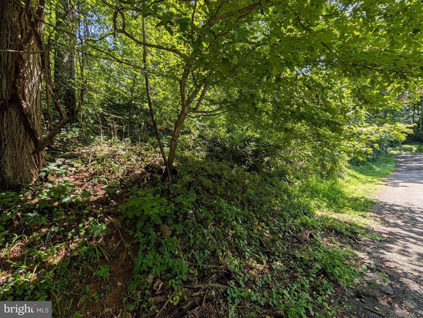 LOT 85-86 ORIOLE CT, FRONT ROYAL, Virginia 22630, ,Land,For sale,LOT 85-86 ORIOLE CT,VAWR2011774 MLS # VAWR2011774