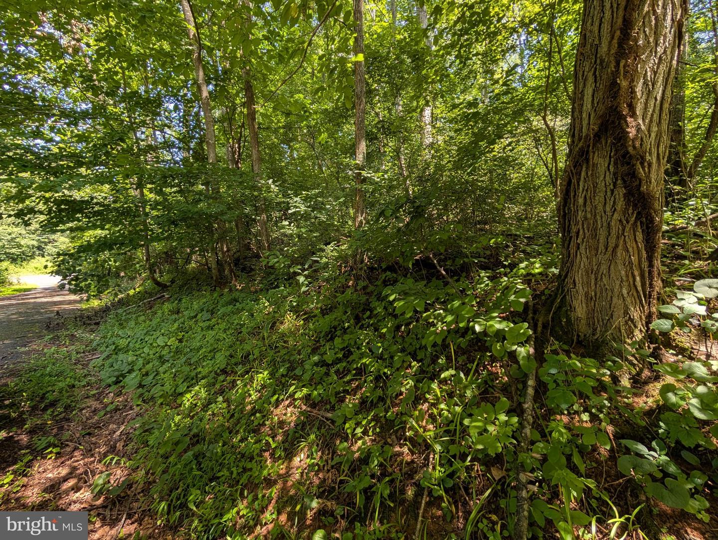 LOT 85-86 ORIOLE CT, FRONT ROYAL, Virginia 22630, ,Land,For sale,LOT 85-86 ORIOLE CT,VAWR2011774 MLS # VAWR2011774