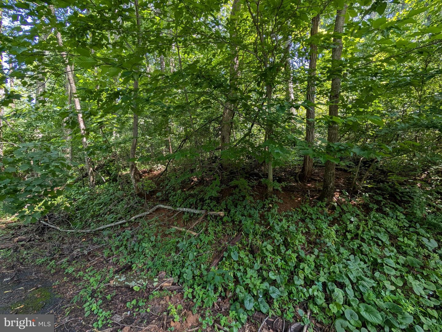 LOT 85-86 ORIOLE CT, FRONT ROYAL, Virginia 22630, ,Land,For sale,LOT 85-86 ORIOLE CT,VAWR2011774 MLS # VAWR2011774
