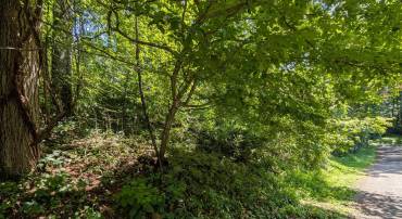LOT 85-86 ORIOLE CT, FRONT ROYAL, Virginia 22630, ,Land,For sale,LOT 85-86 ORIOLE CT,VAWR2011774 MLS # VAWR2011774