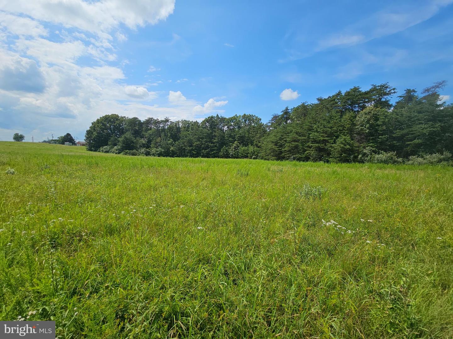 11145 BRENT TOWN RD, CATLETT, Virginia 20119, ,Land,For sale,11145 BRENT TOWN RD,VAFQ2017484 MLS # VAFQ2017484