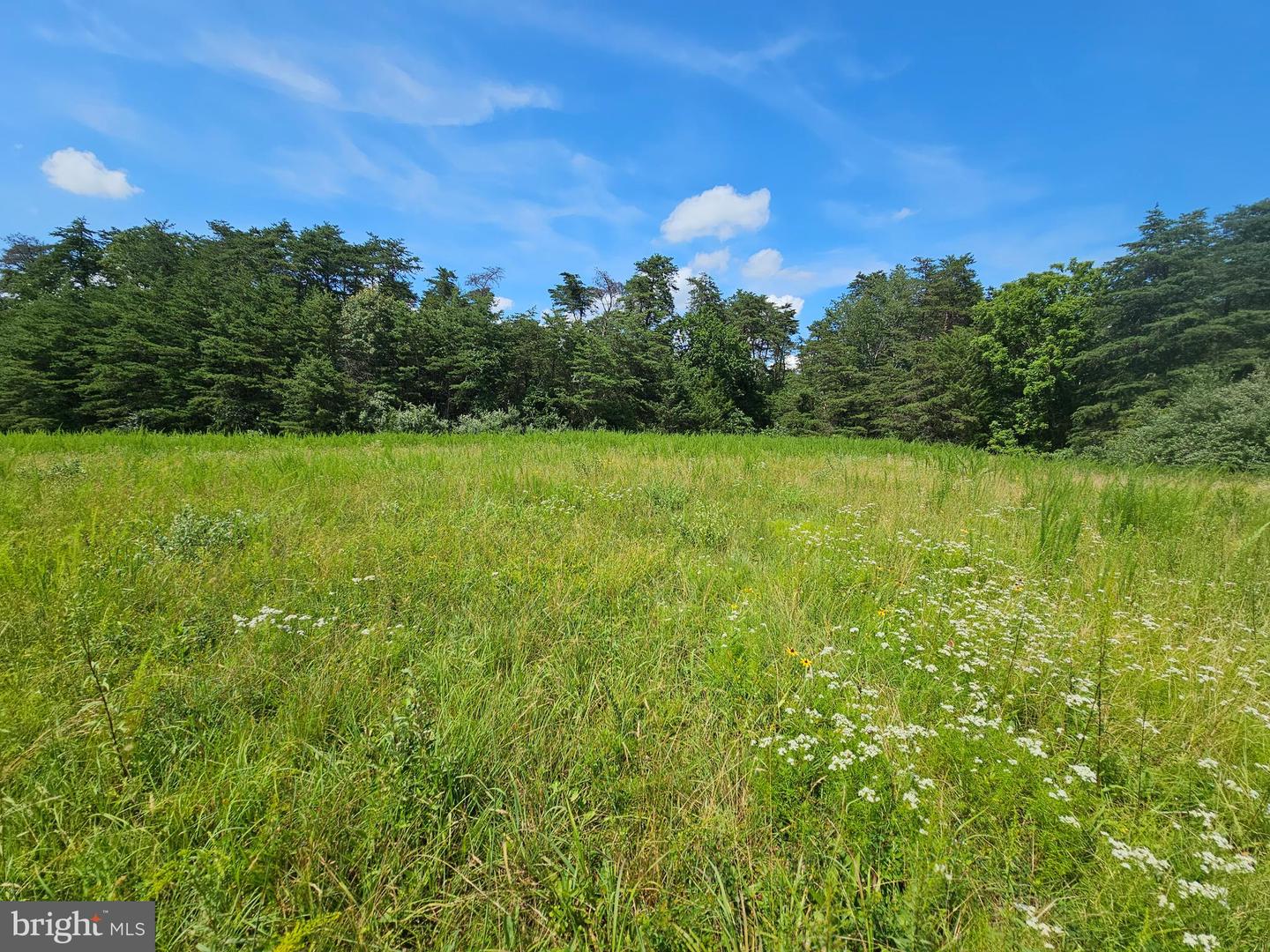 11145 BRENT TOWN RD, CATLETT, Virginia 20119, ,Land,For sale,11145 BRENT TOWN RD,VAFQ2017484 MLS # VAFQ2017484